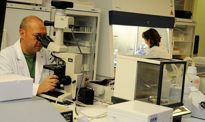 Proyectos de Investigación Fundación Tejerina 1