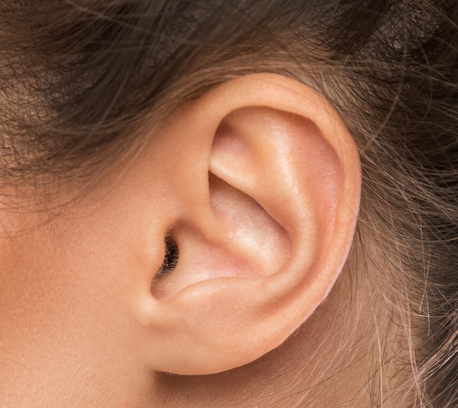 oreja