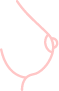 segunda opinion icon01