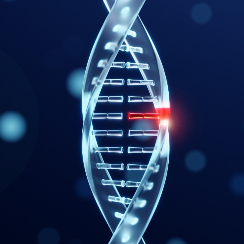 dna representation concept
