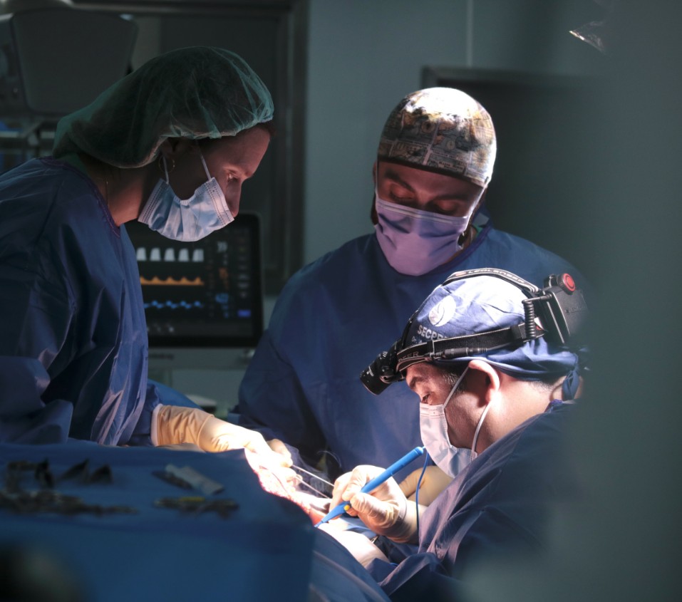 Cirugía Plástica y Medicina Estética
