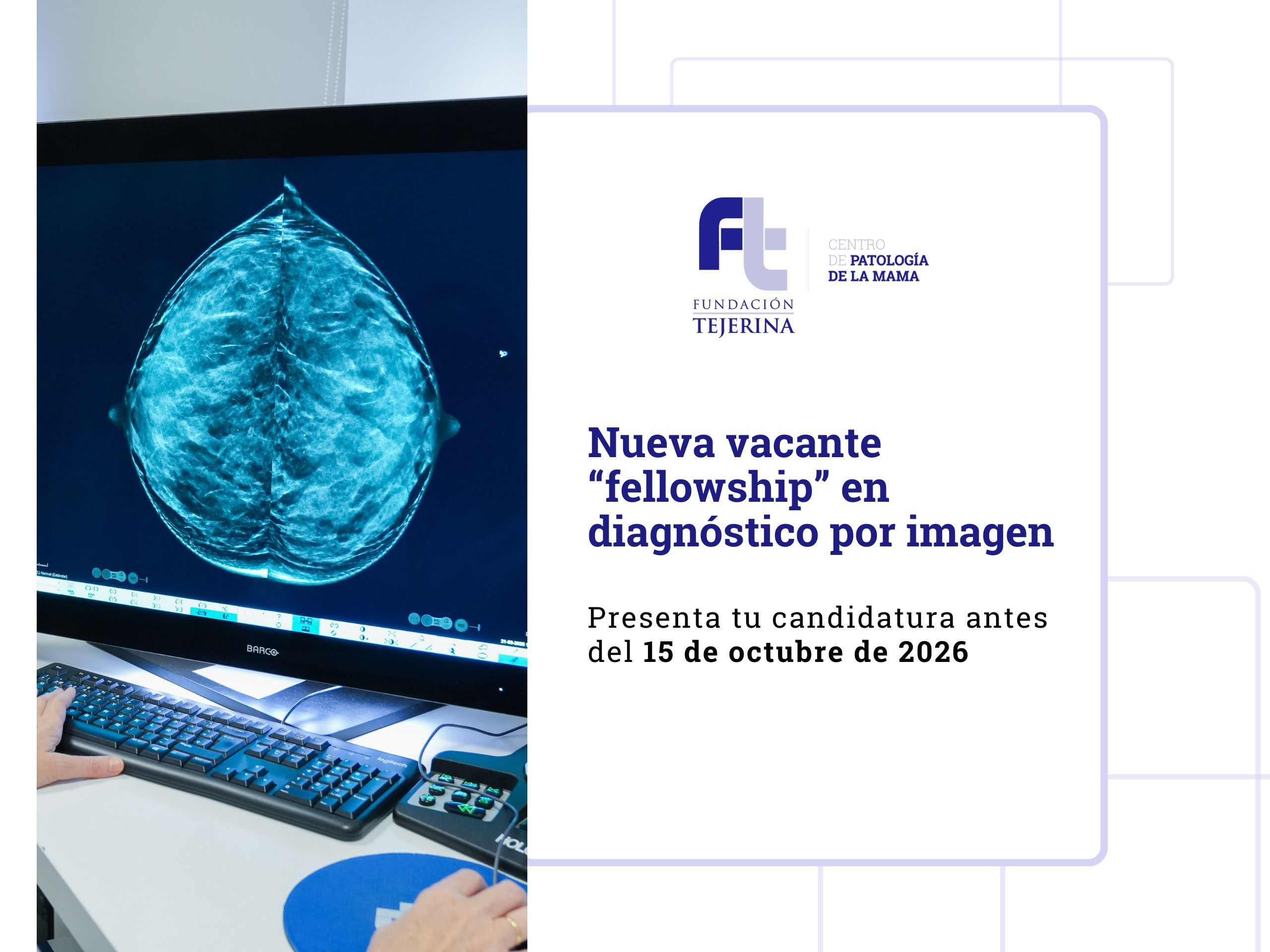 Vacante fellowship